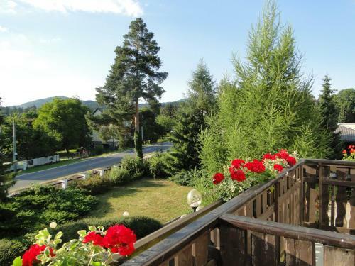Hostal Villa ?erot�n Penzion Bed & Breakfast