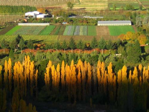 Lodge Carpe Diem Caba�as & Suites