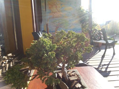 Albergue Nakel Yenu