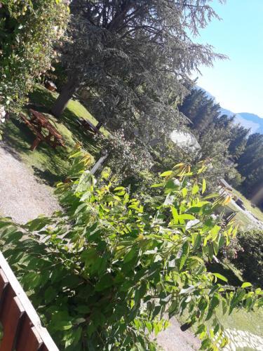 La Posada De Olaf