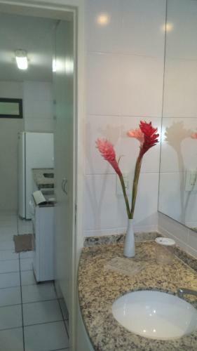 Apartamento Temporada Macei�