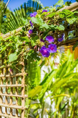 Hostal Pousada Jequitib�