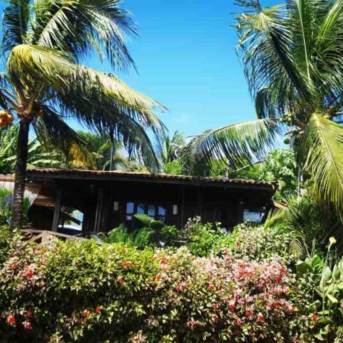 Hostal Pousada Capim A�u
