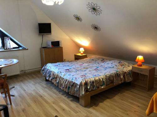 Hostal Pension Roklan