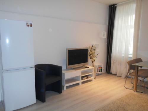 Apartment Mladejovskeho