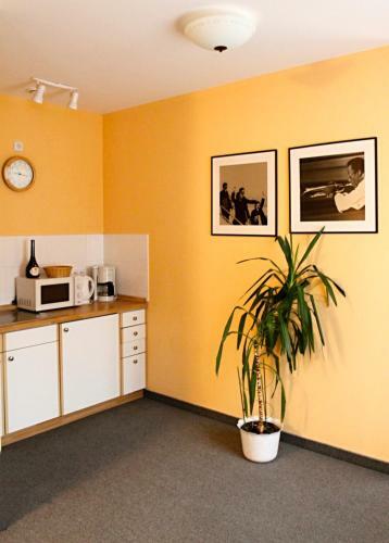 Apartamentos Pension-apartmany Cesky Dvur