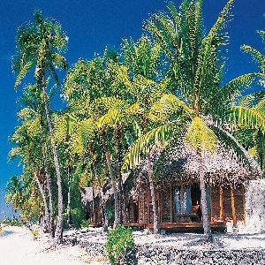 Hotel Tikehau Pearl Beach Resort