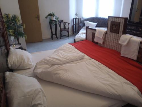 Hotel Schwarzaquelle