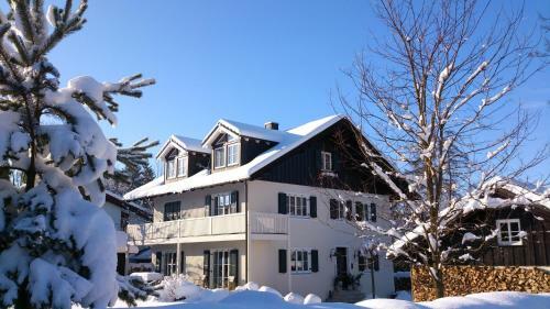 Apartment Schreyegg