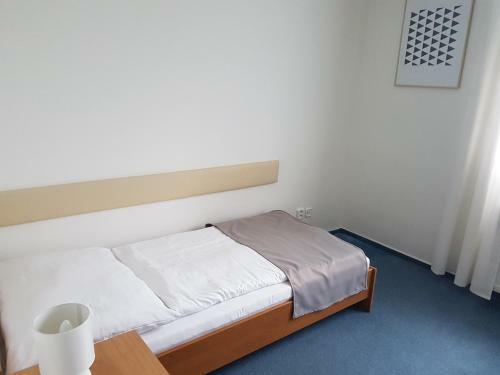 Hotel Lipno