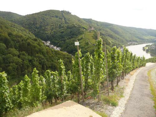 Hostal G�stehaus Ehses