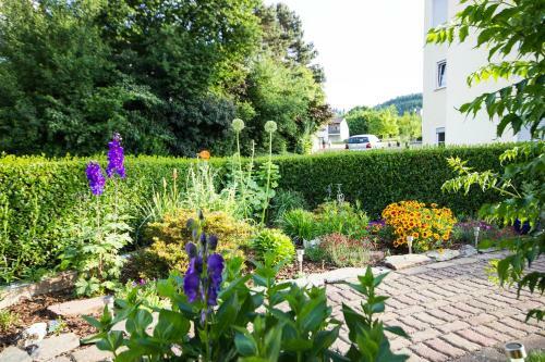 Hostal G�stehaus Ehses