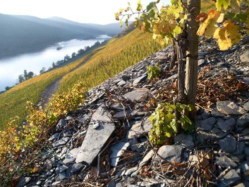 Hostal Wein- Und Landhaus S. A. Pr�m