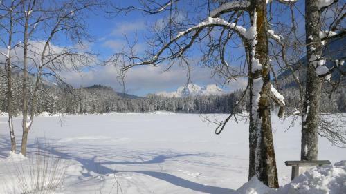 Hostal Gasthaus-pension Seeklause