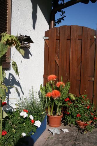 Apartamento Haus Angerbichl