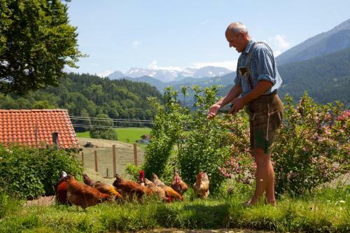 Hostal G�stehaus Hinterponholz