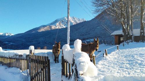 Hostal G�stehaus Hinterponholz