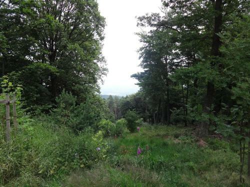 Hostal Landgasthof J�gerst�bchen