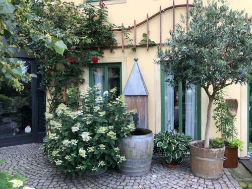 Apartamentos Rebenhaus Mei�en