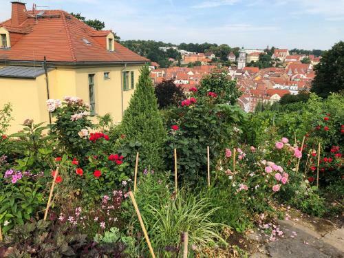 Apartamentos Rebenhaus Mei�en