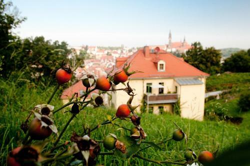 Apartamentos Rebenhaus Mei�en
