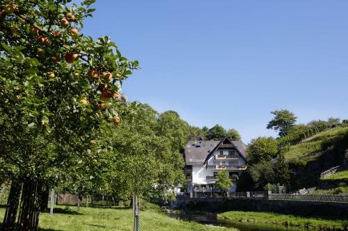 Hotel Pension J�gerst�bchen