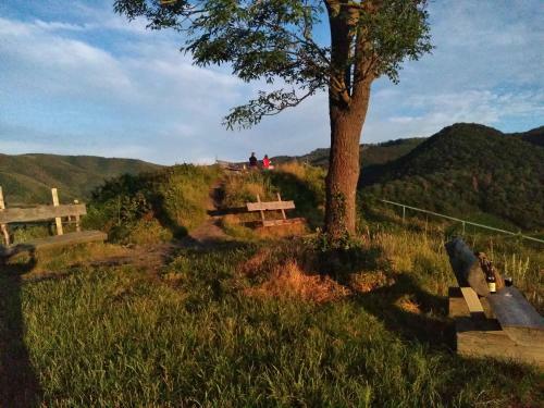 Apartamento Am Bungert