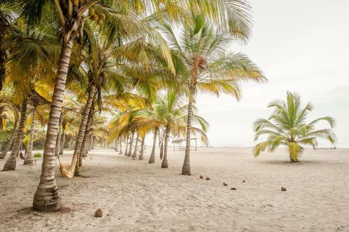 Lodge Playa Bonita