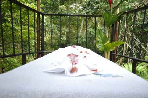 Lodge Acuali Ecohostal