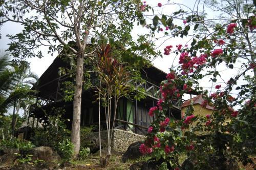 Lodge Acuali Ecohostal