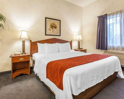 Hotel Comfort Inn Conference Center Tumwater