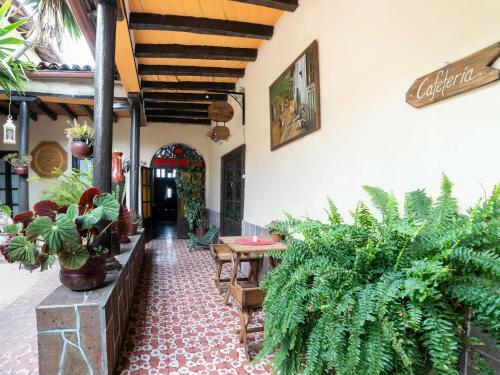 Hotel Posada Del Carmen