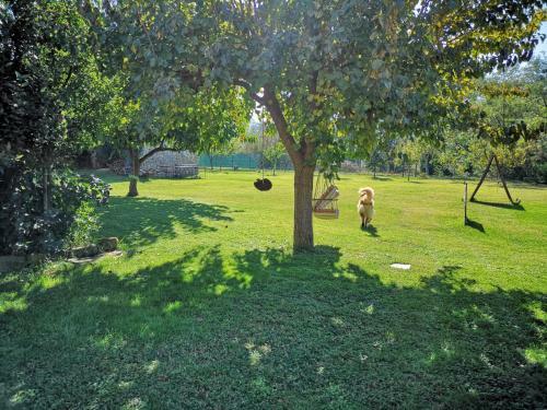 Agroturismo River Melody