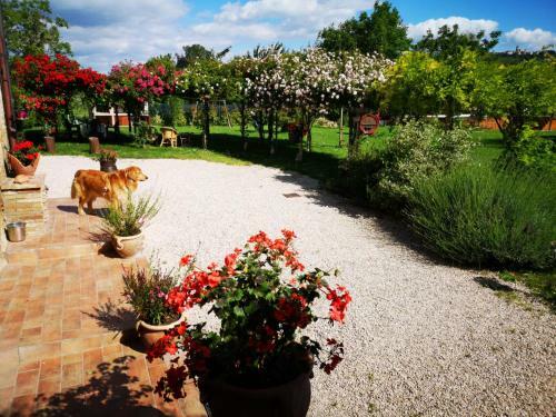 Agroturismo River Melody