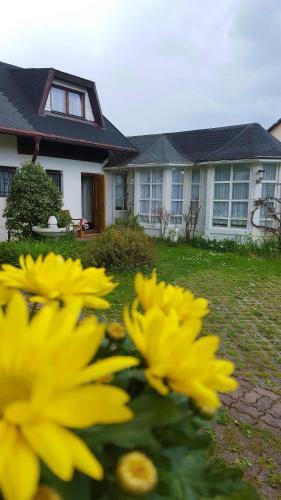 Hostal Pension Elbrs