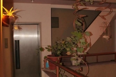 Hotel Hotelo