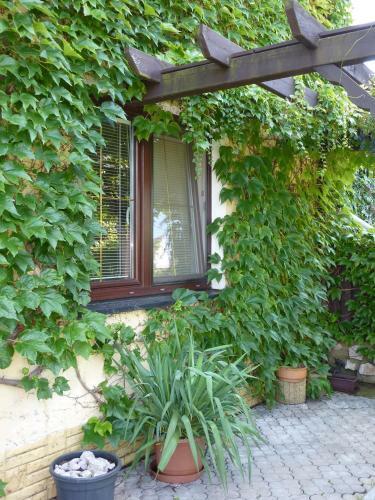 Hostal Penzion ?ech