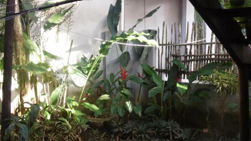 Apartamento Casa Da Jaca 02