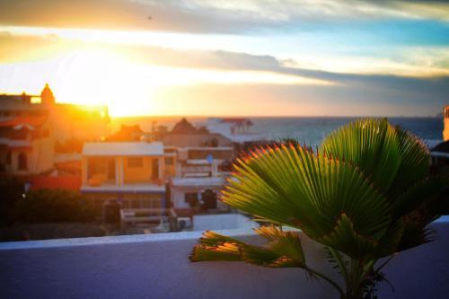 Hotel Delfin
