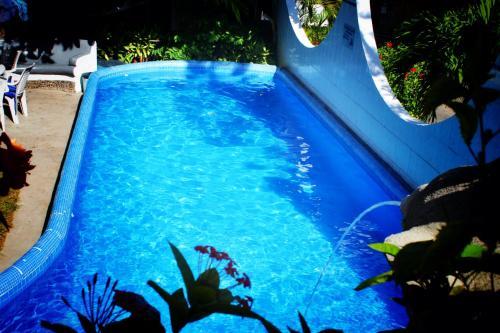 Hotel Delfin
