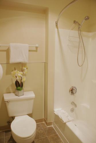 Hotel Friendship Inn