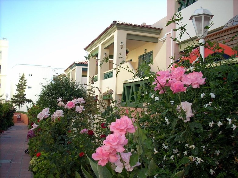 Apartamento Starnerja II