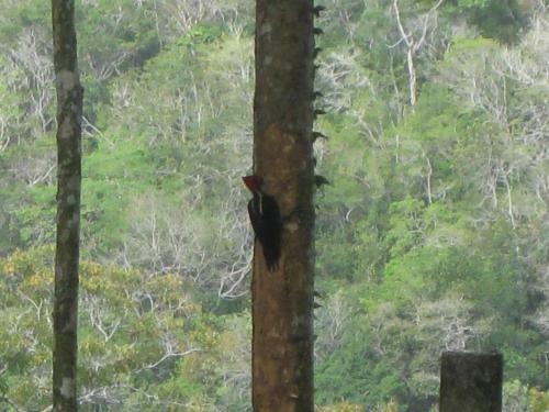 Lodge Caba�as Ecologicas Tumben Ha