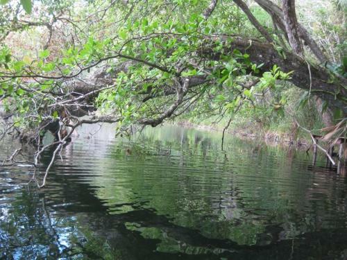 Lodge Caba�as Ecologicas Tumben Ha