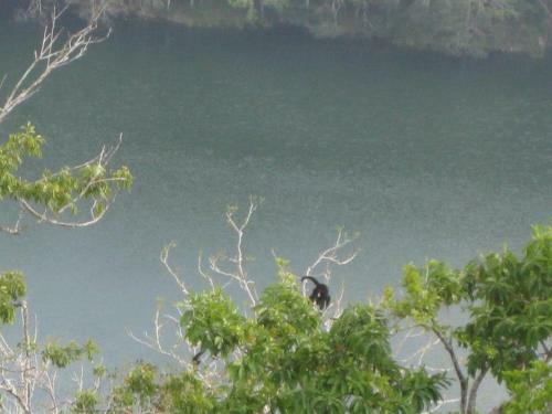 Lodge Caba�as Ecologicas Tumben Ha