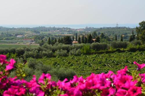 B&B La Cipressina
