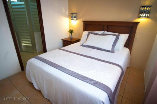 Hotel Trivento