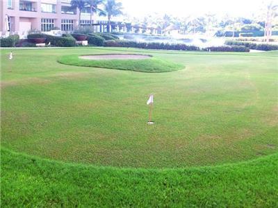 Delcanto Residences By Latour Hotel And Resorts