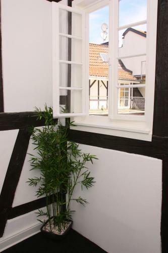 Hotel Am Schloss