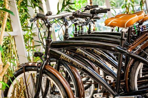 Hotel Kristal Palace - Tonellihotels